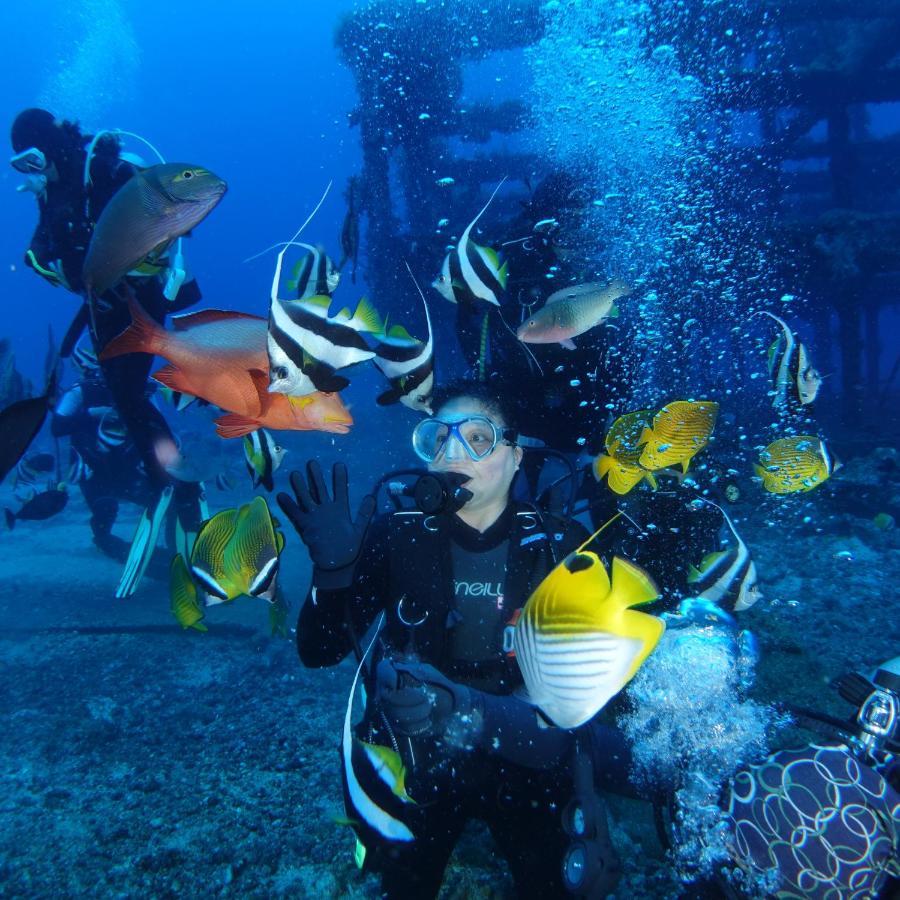 Green Island Ocean Rhythem Dive B&B 綠島海韻民宿 Εξωτερικό φωτογραφία